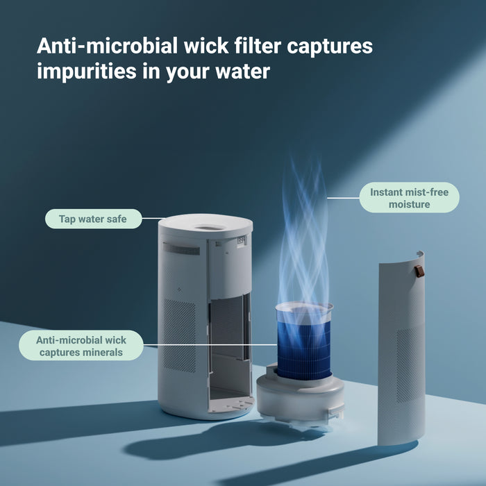 2-in-1 Purify + Humidify Replacement Wick