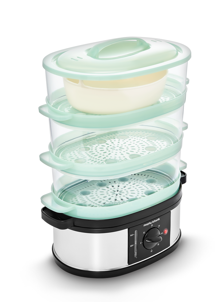 morphy richards food steamer