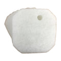 5 x Eheim Professional 2 2226 / 2326 / 2228 / 2328 polish pads