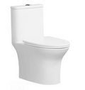 AERO Washdown Rimless WC Complete Set (S-250mm) - White
