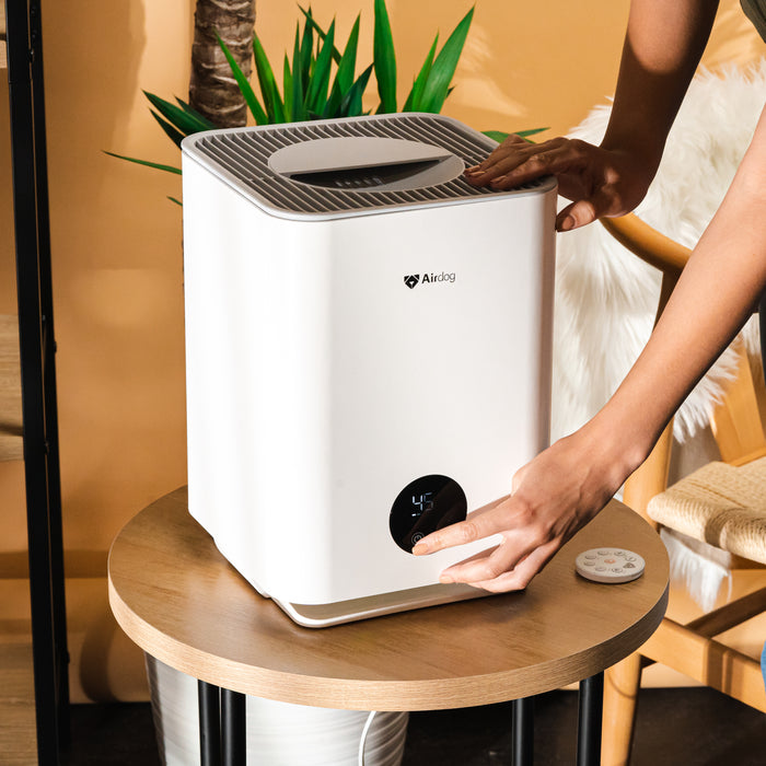 Airdog air humidifier