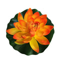 Artifical Pond Lily Lilly Floating Pond Decoration 30cm