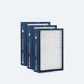 Classic 500/600 Series DualProtection Filter