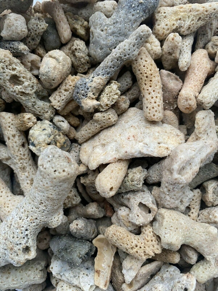 Crushed Coral (Various Sizes)