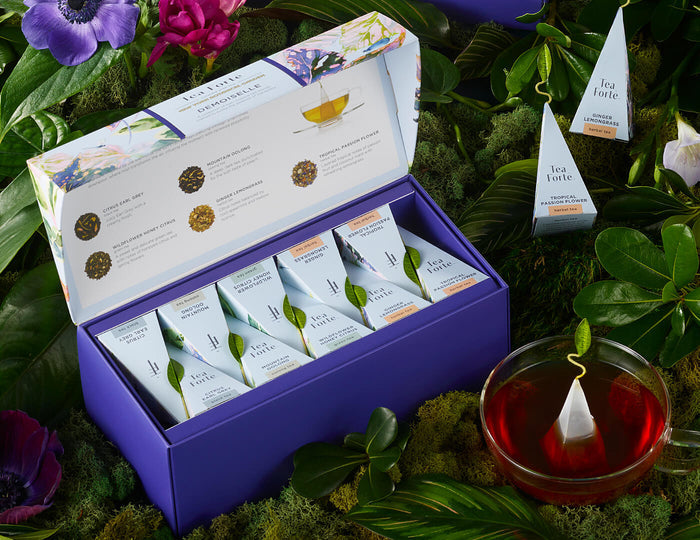 MAIN PDP | Demoiselle Presentation Box of 20 infusers, open, with infuser and teacup, amongst moss and plants