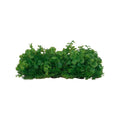 False Plant Decoration Ornament - Large Style 2