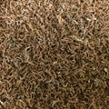 Freeze Dried Bloodworms High Protein Fish Food