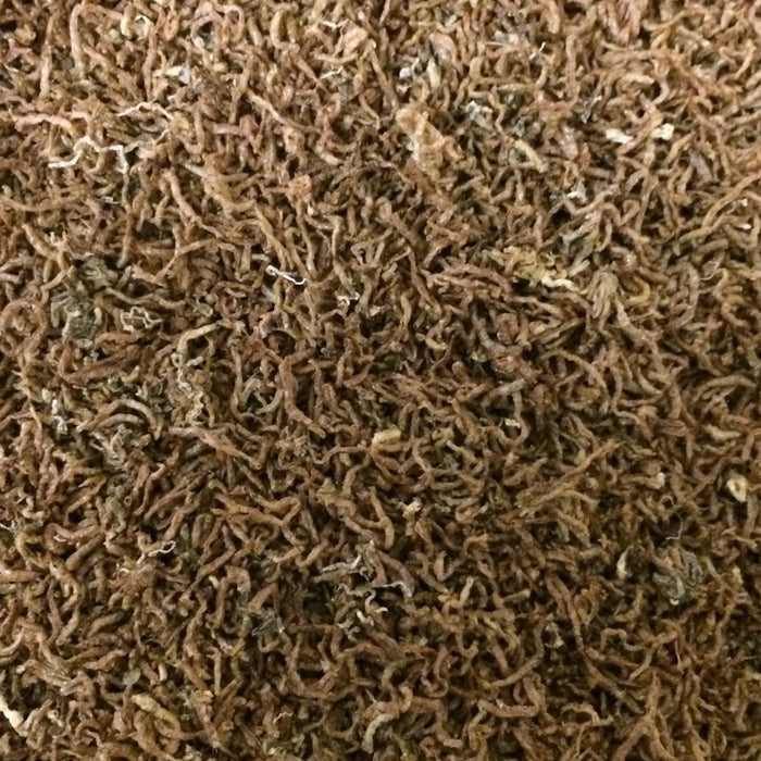 Freeze Dried Bloodworms High Protein Fish Food