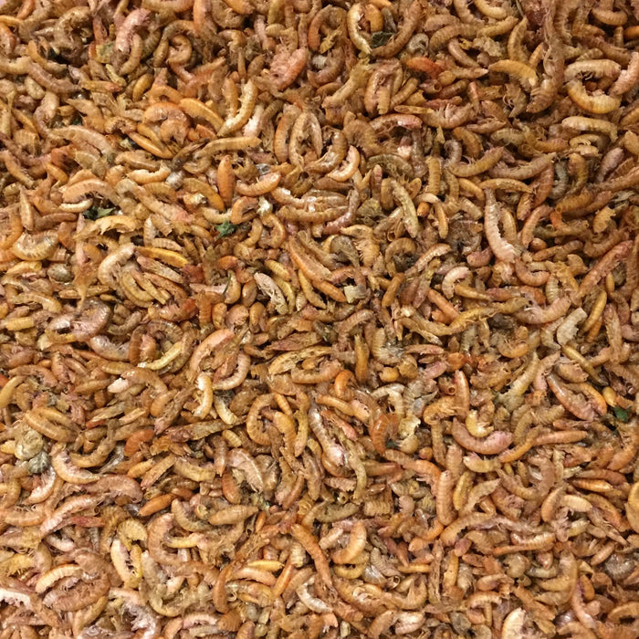 Freeze Dried Gamarrus Shrimp Fish Food