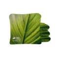 #color_green