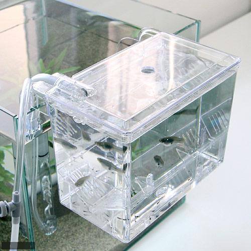Ista  Hang-On Breeding  Box