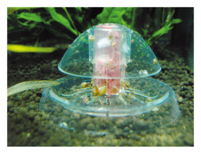 Ista Snail & Pest Trap