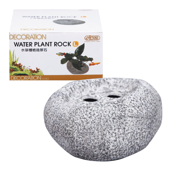 Ista Water Plant Rock