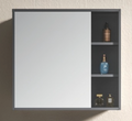 Mirror Cabinet only