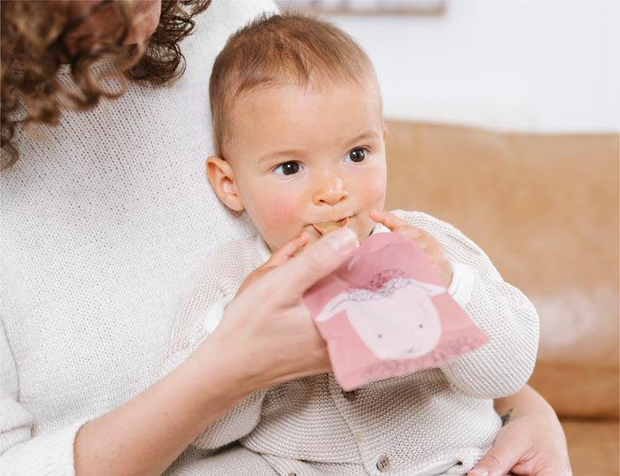 Reusable Baby Food / Yoghurt Pouches Bundle Kit | Dusty Rose & Sand V2