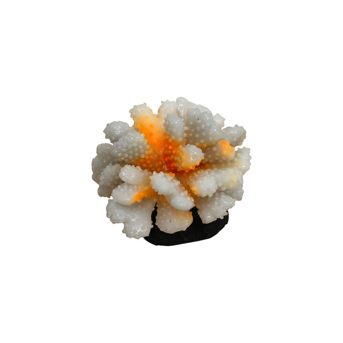 Small Fake Coral Aquarium Decoration Marine Reef - 4 Colour Choices