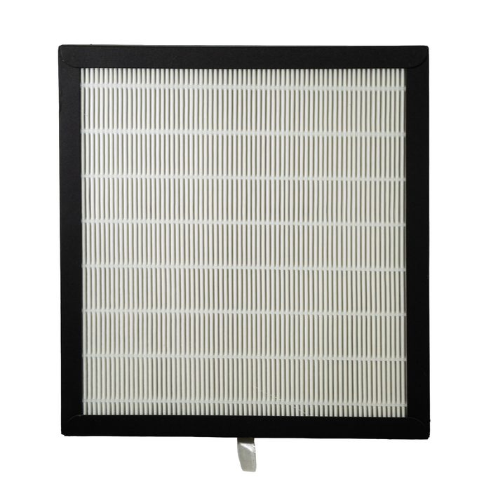 Spare HEPA Filter (H10)