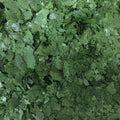 Spirulina Flake Food