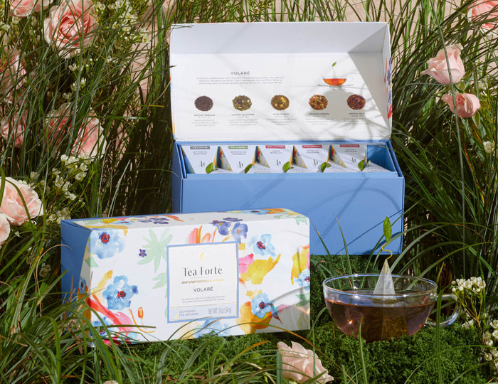 MAIN PDP | Volare Presentation Boxes, open and closed box, of 20 pyramid teas each, in the grass with a cup of tea